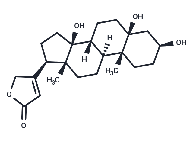 杠柳苷元,Periplogenin