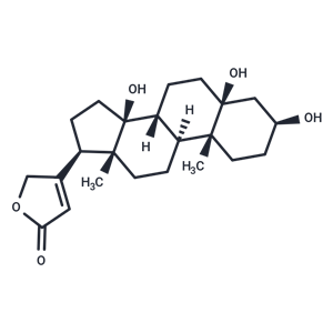 杠柳苷元,Periplogenin