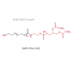 氨基聚乙二醇二硬脂?；字Ｒ掖及?二硬脂?；字Ｒ掖及肪垡叶及被?NH2-PEG-DSPE;DSPE-PEG-NH2