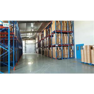 輔酶Q10,Coenzyme Q10
