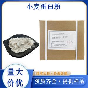 小麦水解蛋白粉