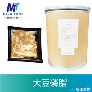 大豆磷脂,L-ALPHA-PHOSPHATIDYLINOSITOLS, SOYA