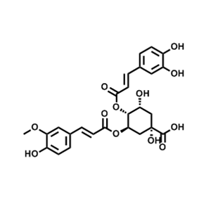 3-阿魏酰-4-咖啡?？崴? /></a>
                                    <div   id=