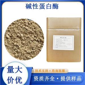 堿性蛋白酶