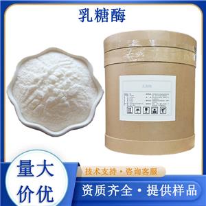 乳糖酶