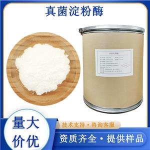 真菌淀粉酶