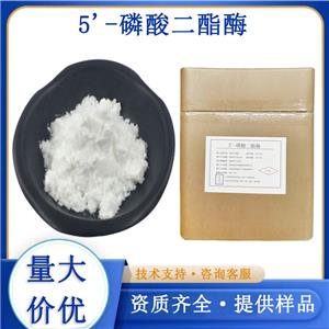 5'-磷酸二酯酶