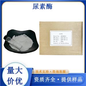 脲酶,Urease