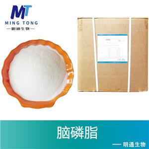 脑磷脂