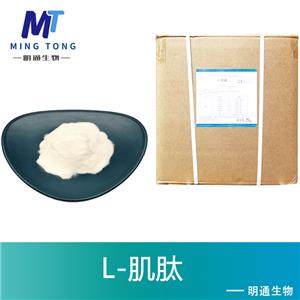 L-肌肽