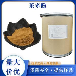 绿茶提取物,Green Tea Extract