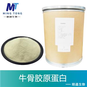 牛骨胶原蛋白