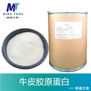 牛皮胶原蛋白