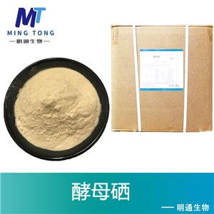酵母硒