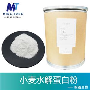小麦水解蛋白粉