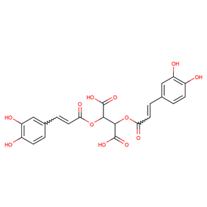 紫錐菊多酚	70831-56-0 	 CAS  生產(chǎn)廠家  匠信生物