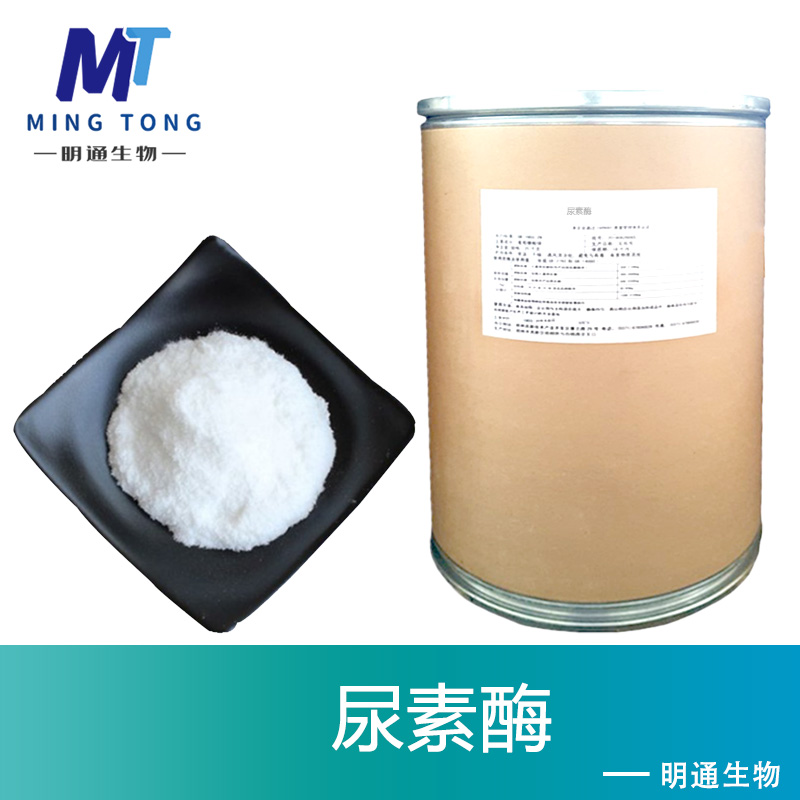 尿素酶,Urease