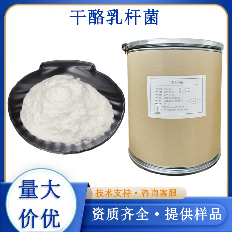 干酪乳杆菌,casei