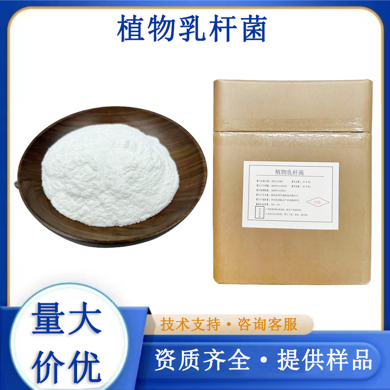 植物乳杆菌,Lactobacillus plantarum