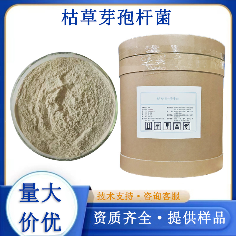 枯草芽孢杆菌,Bacillus subtilis