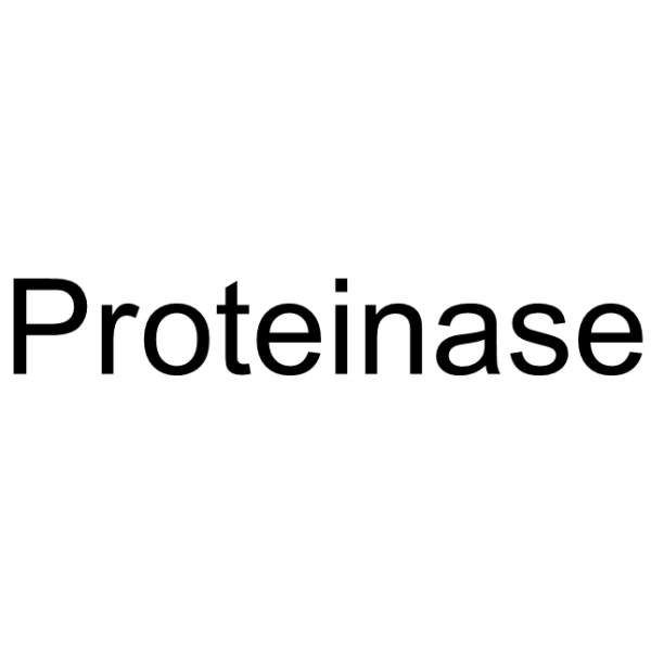 蛋白酶,Proteinase