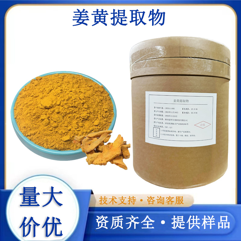 姜黄提取物,Turmeric P.E