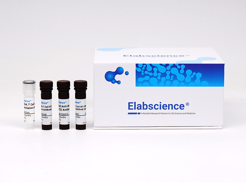 Elabscience 一步法TUNEL流式凋亡检测试剂盒（绿色，Elab Fluor? 488）-E-CK-A421,One-step TUNEL Flow Cytometry Apoptosis Kit (Green, Elab Fluor 488)