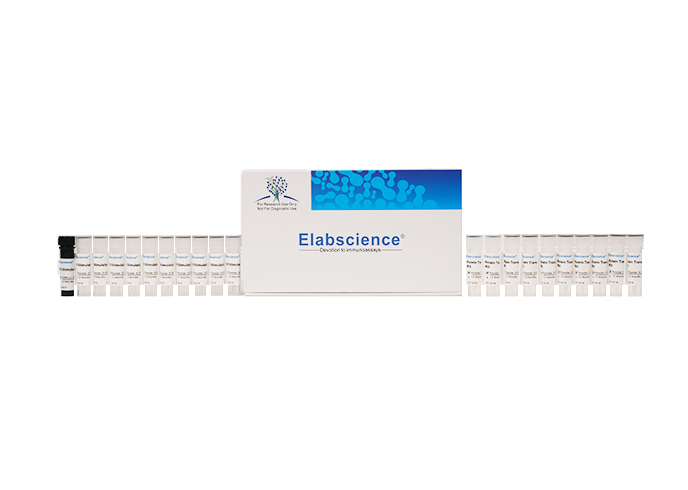 Elabscience 细胞因子激活剂-E-CK-A019,Cell Stimulation MIX Kit