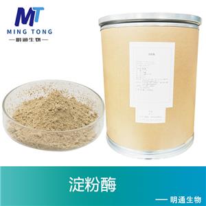 淀粉酶