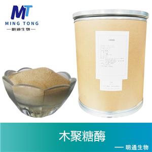 木聚糖酶