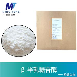 β-半乳糖苷酶