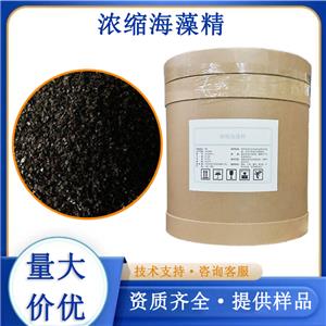 濃縮海藻精,Concentrated seaweed extract