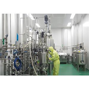 环糊精葡萄糖基转移酶,Cyclodextrin glucosyltransferase