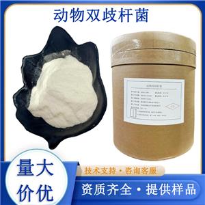 动物双歧杆菌