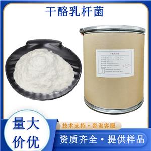 干酪乳酪杆菌
