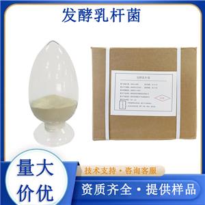 发酵粘液乳杆菌