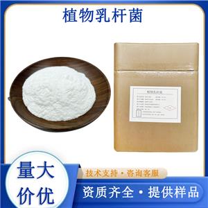 植物乳杆菌,Lactobacillus plantarum