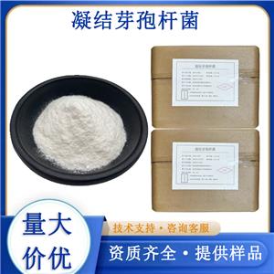 凝结芽孢杆菌