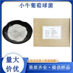 小牛葡萄球菌