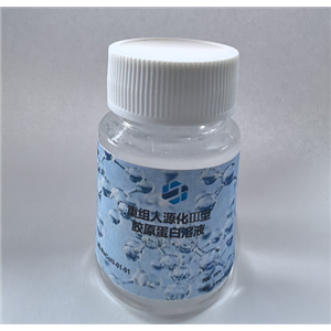 重组人源化胶原蛋白Ⅲ冻干溶液械级