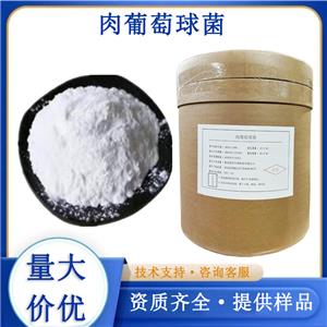 肉葡萄球菌,Staphylococcus carnosus