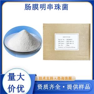 肠膜明串珠菌,Leuconostoc mesenteroides