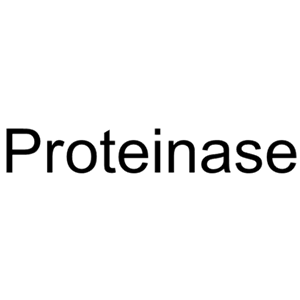 蛋白酶,Proteinase