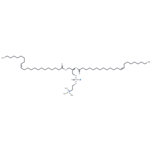 1,2-Dierucoyl-sn-glycero-3-PC,1,2-Dierucoyl-sn-glycero-3-PC