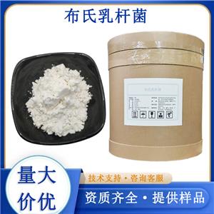 布氏乳杆菌