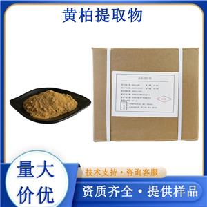 黄柏提取物