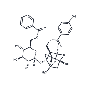 苯甲酰氧化芍藥苷,Benzoyloxypaeoniflorin