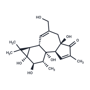 佛波醇,Phorbol