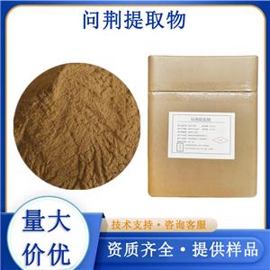 問荊提取物,Horsetail Extract