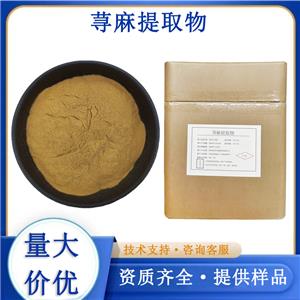 荨麻提取物